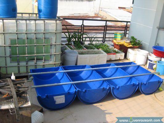 Làm hệ thống Aquaponics