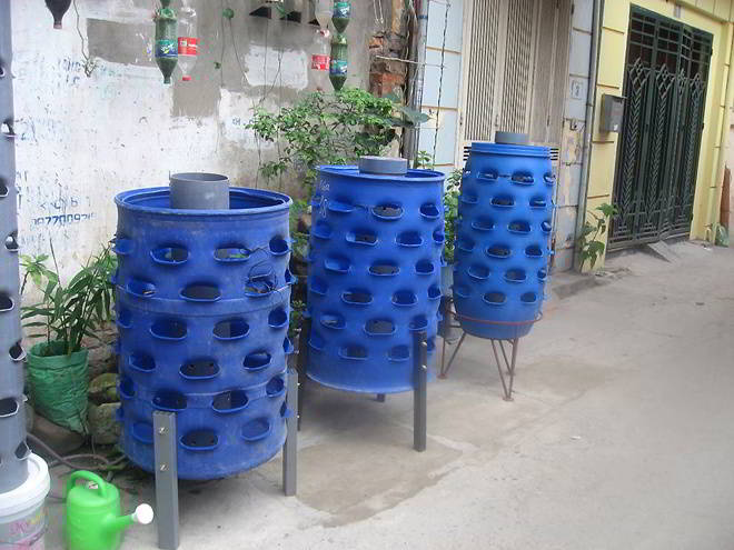 Thùng phi nhựa cũ được sử dụng để trồng rau sạch